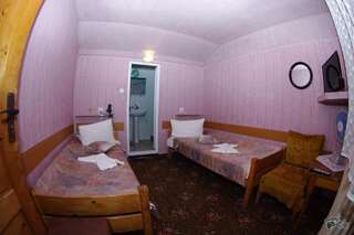 Гостевой дом Pensiunea Irina Brad Двухместный номер с 2 отдельными кроватями-1