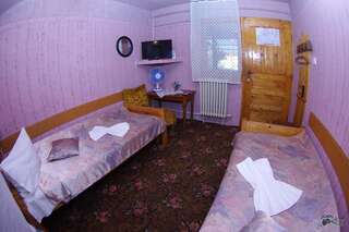 Гостевой дом Pensiunea Irina Brad Двухместный номер с 2 отдельными кроватями-2