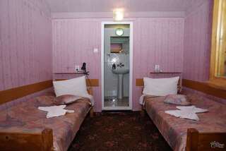 Гостевой дом Pensiunea Irina Brad Двухместный номер с 2 отдельными кроватями-3